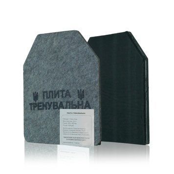 Сталеві тренувальні плити 2 шт 2163 фото